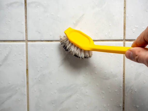Best Emergency Mold Removal  in Lawrenceburg, KY